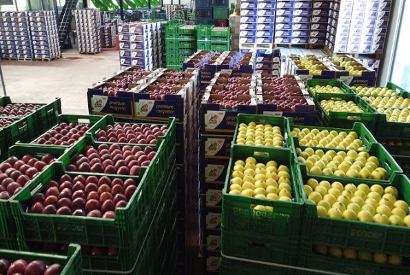 Ekremoğulları Soğukhava - 2025