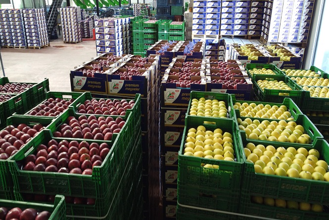 Ekremoğulları Soğukhava - 2025